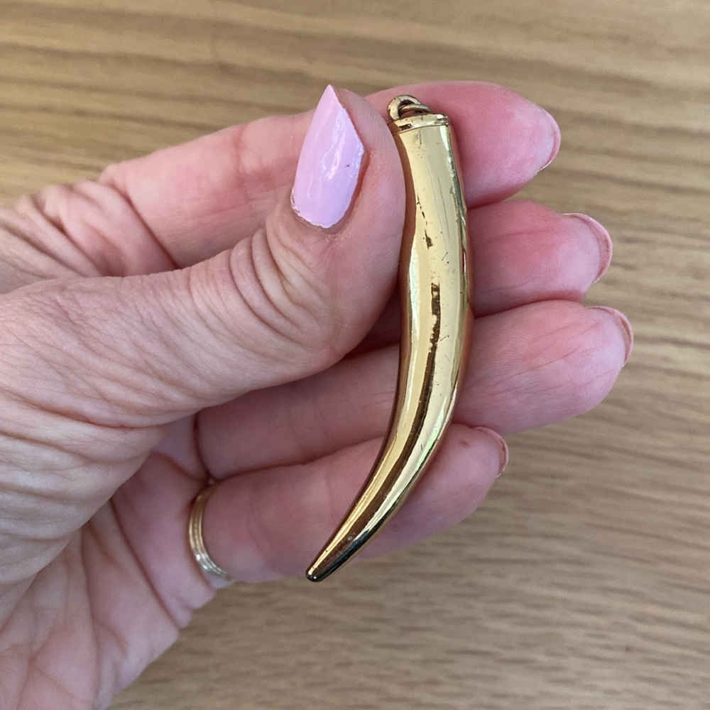 Gold CC Skye horn pendant